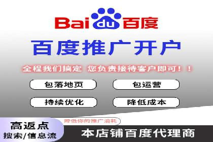 某电商平台的SEM优化托管实践与效果评估
